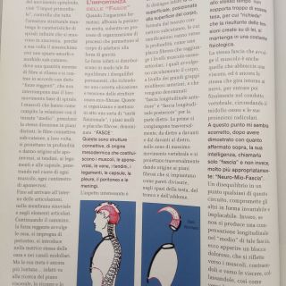 Italia i tre diaframmi nota lne italy (2)